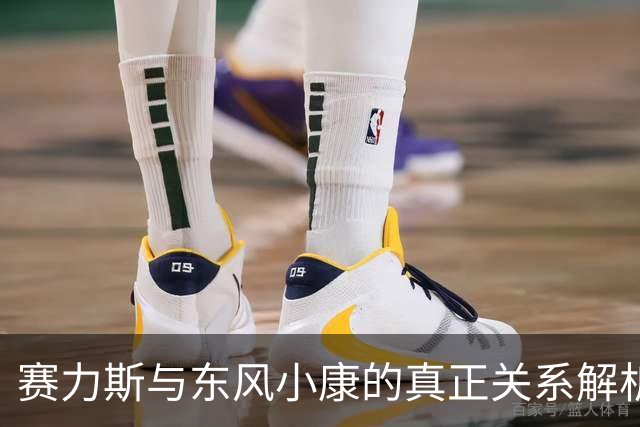 赛力斯与东风小康的真正关系解析